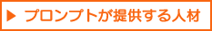�v�����v�g���񋟂���l��